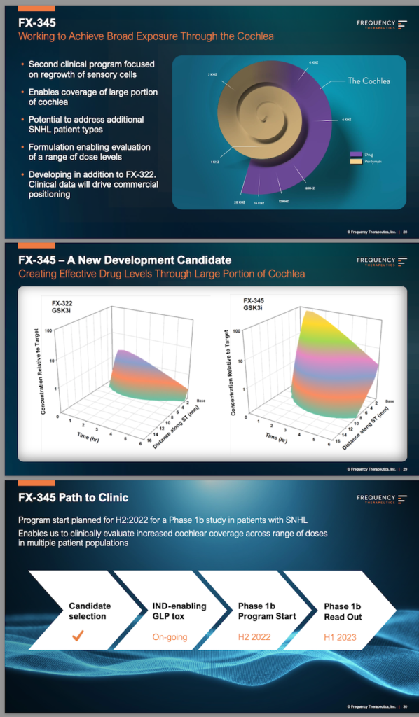 FX-345 presentation preview