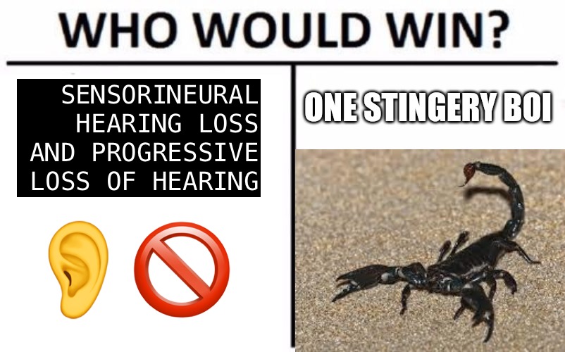 KCNQ4 activators meme hearing loss scorpion