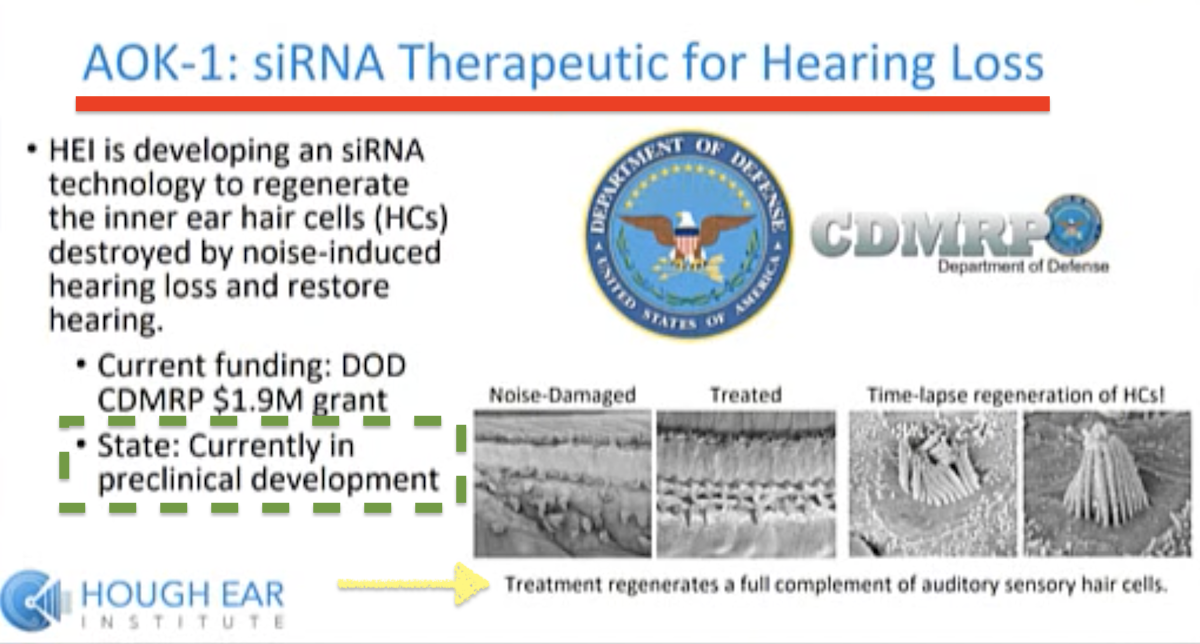 AOK-1 siRNA therapeutic from Hough Ear Institute slide